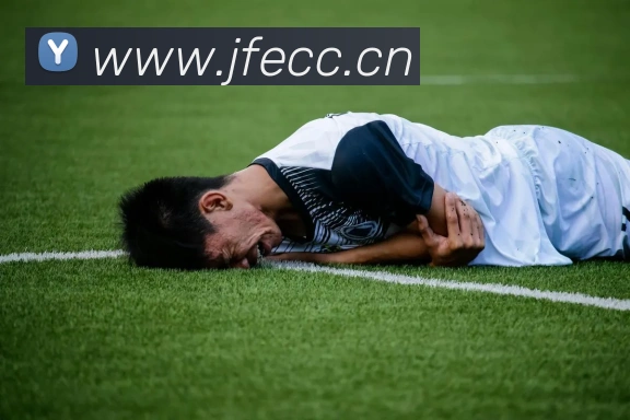 开云在线官方网站APP 体育赛事宣传图